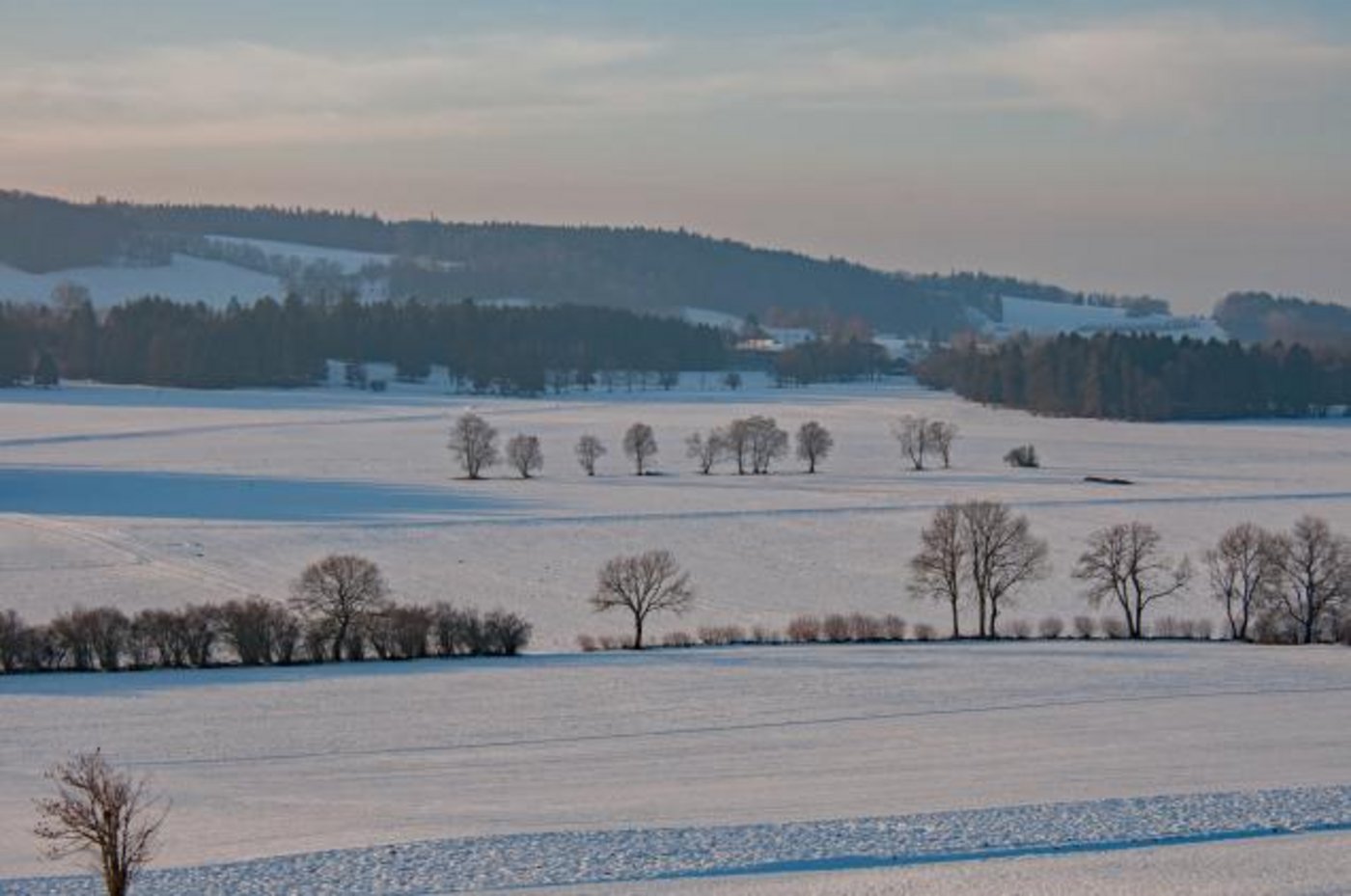 Eine aussergewöhnlich grosse Fläche sucht im Berner Jura einen neuen Bewirtschafter. (Bild «Bieler Tagblatt»)