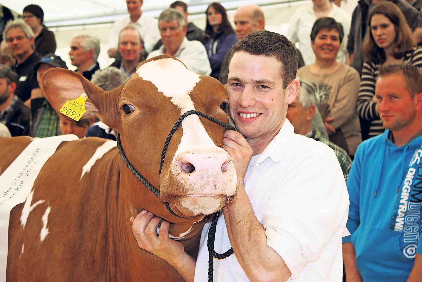 Haway an der Hand von Res Staub. Keine zweite Kuh holte an der Starparade so viele Titel wie sie. Ende Januar wird sie abkalben. Terminlich würde es für einen fünften Titel an der Starparade am 28. Februar passen. (Bilder Simone Barth)