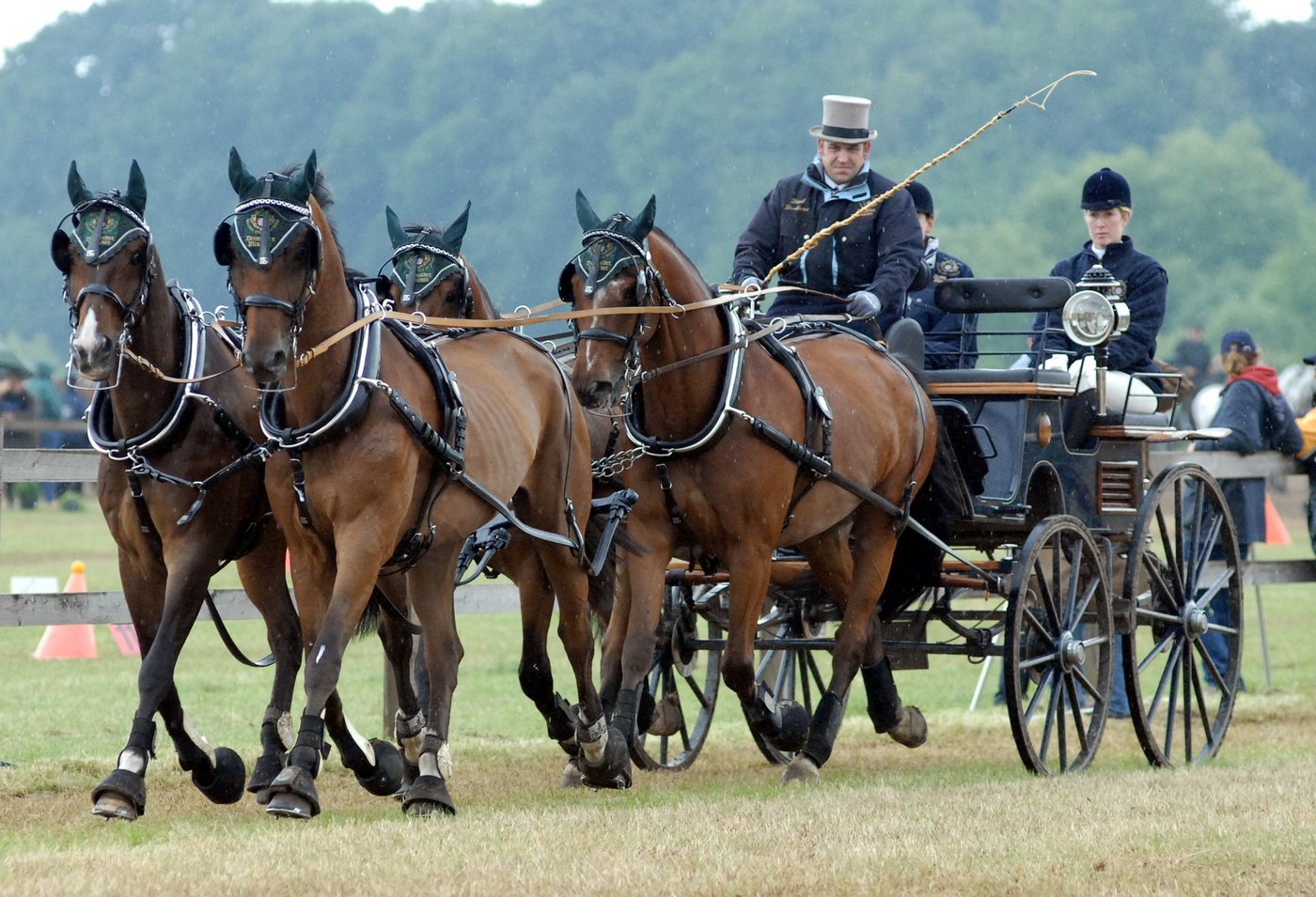 Rund 1000 Pferde und Ponys sorgten in Avenches VD für spannende Wettkämpfe.