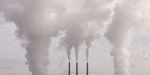 Nicht nur Schweizer Klimastreikende machen sich ernsthafte Sorgen um die Zukunft. In Deutschland und den Niederlanden geht man nun einen rechtlichen Weg, um mehr Klimaschutz zu erwirken. (Bild Pixabay)