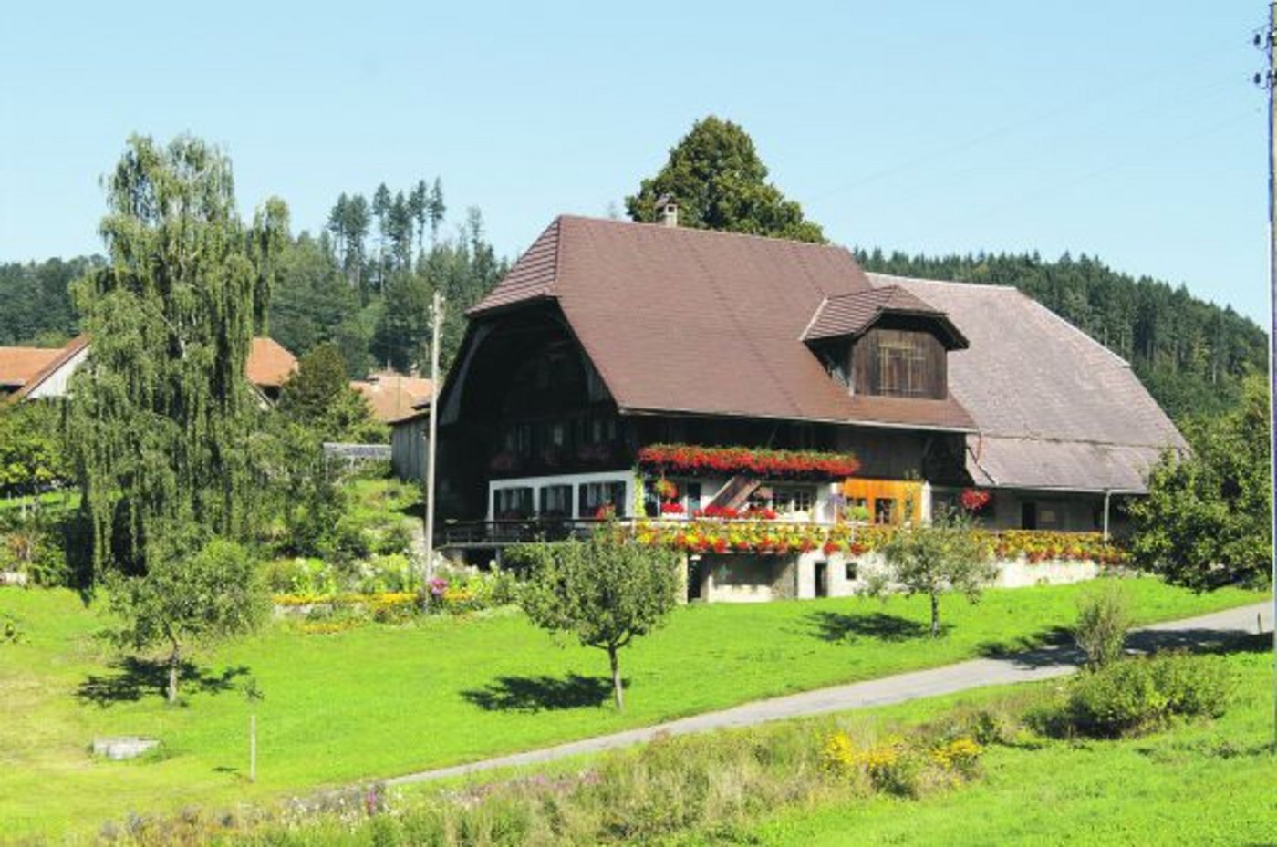 Bauern haben die Wahl, den Betrieb 2017 nach alter Schätzung zu übergeben oder ab 2018 nach neuer Schätzung. (Symbolbild SBV)