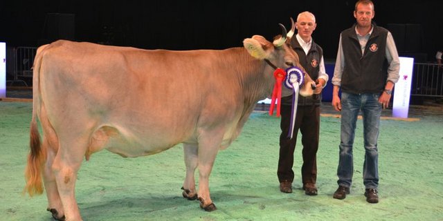 Grand Champion: Vaelaedi Karla, Gebrüder Winterberger, Schattenhalb