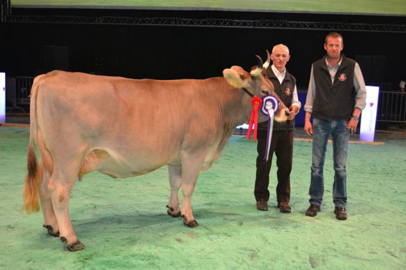 Grand Champion: Vaelaedi Karla, Gebrüder Winterberger, Schattenhalb