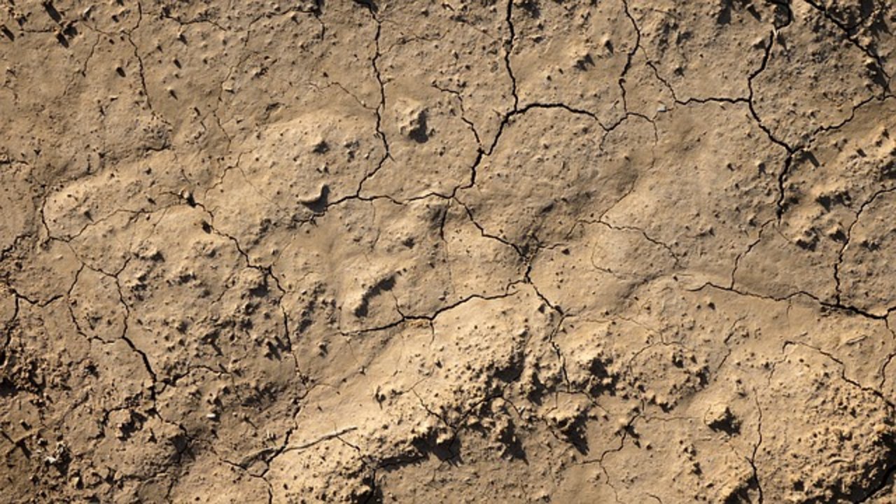 Dürre: Zwei der Gründe für Wasserknappheit sind das Bevölkerungswachstum und der Klimawandel. (Symbolbild Pixabay)