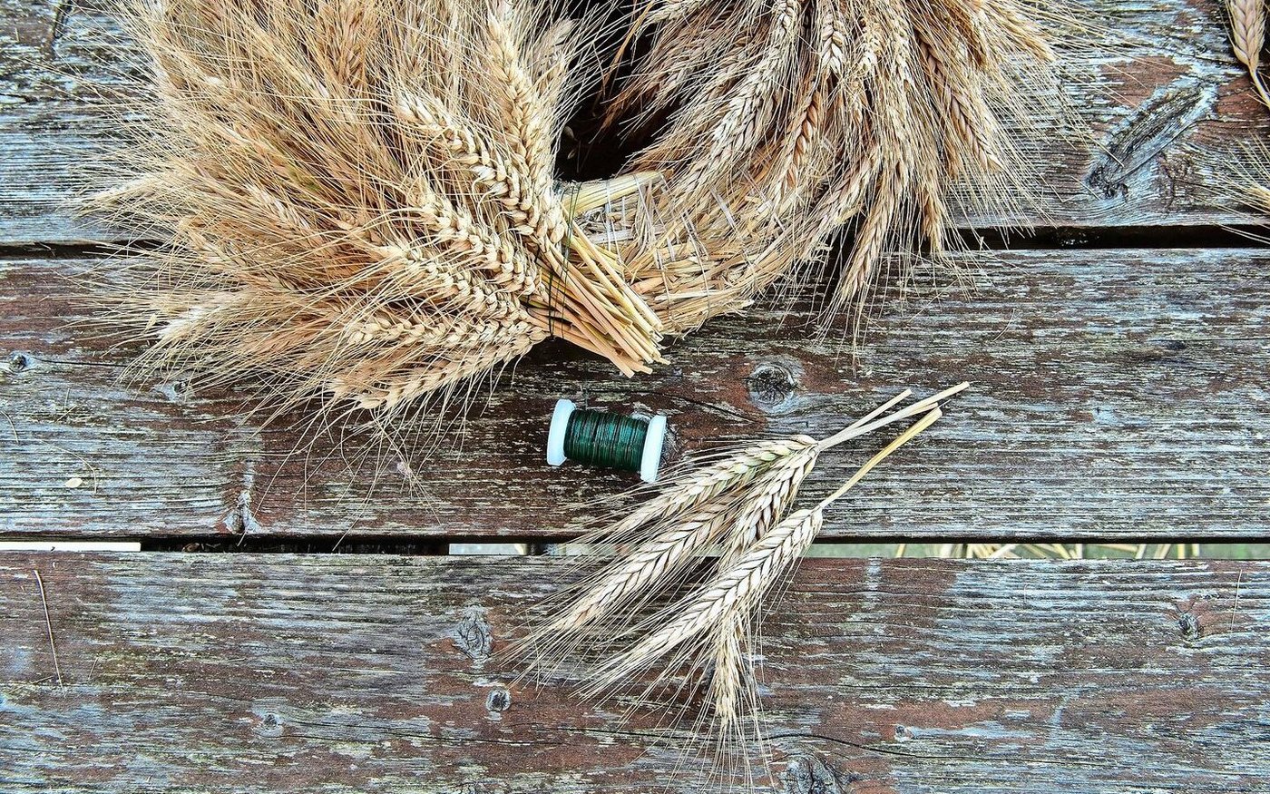 Ist man fast am Ende angelangt, können die Stängel bereits vorab gekürzt werden, damit diese sich unter die ersten Ähren stecken lassen.