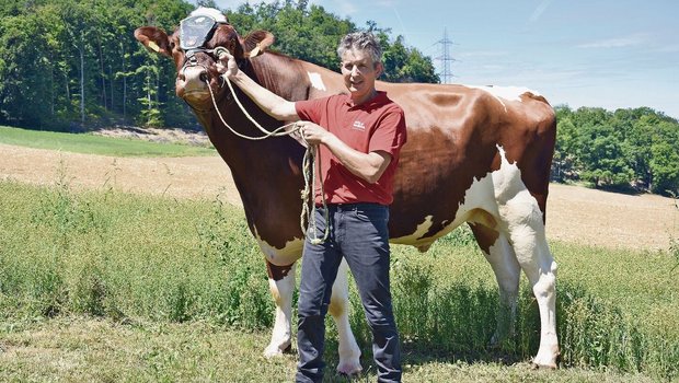 Der Hauptpreis vom E Der Hauptpreis vom ESAF in Pratteln. Der RH-Stier Amnesty Magnus von Jürg Degen aus Pratteln.