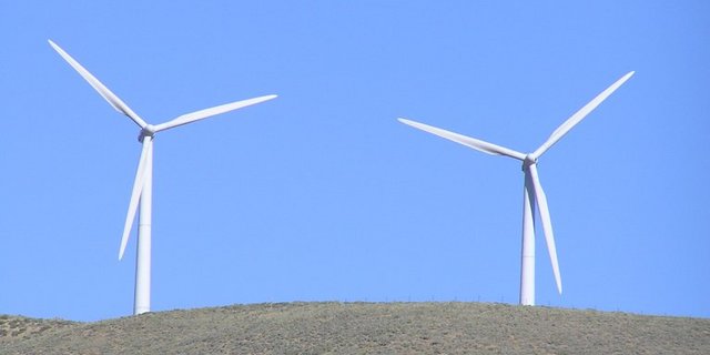 Forscher schätzen die Menge an getöteten Insekten auf bis zu 6 Milliarden Stück pro Jahr. (Bild lid/mr)