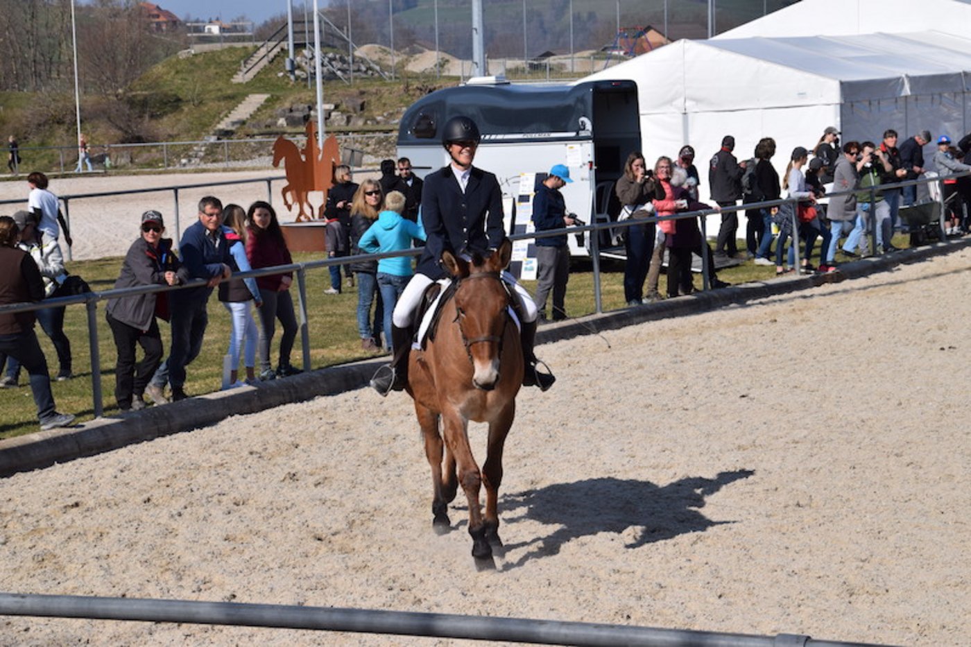 Tanja Spring aus Jeuss begeistert mit Maultier Fridolin. (Bild joy)