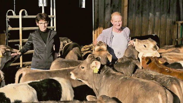 Gesunde Tiere machen viel Freude und sind auch betriebswirtschaftlich interessant: Claudia und Alois Renggli investieren viel Zeit in die Beobachtung ihrer rund 100 Mastkälber.