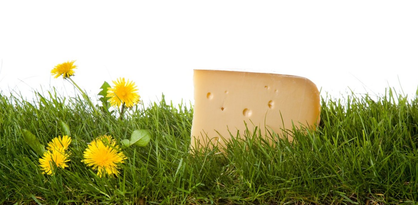 Ziel des Projekts sind mehr traditionelle und neue Milchprodukte aus dem Jura für die regionale Versorgung und bessere Einkommen für die Produzenten. (Bild Kanton JU)