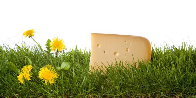 Ziel des Projekts sind mehr traditionelle und neue Milchprodukte aus dem Jura für die regionale Versorgung und bessere Einkommen für die Produzenten. (Bild Kanton JU)