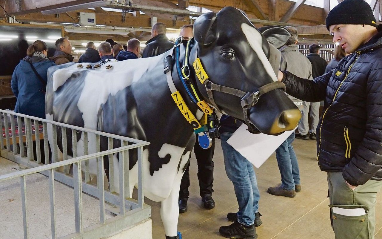 An der künstlichen Kuh hängen smarte Monitoringsysteme, die Gesundheitsstatus oder Wiederkäueraktivität messen.