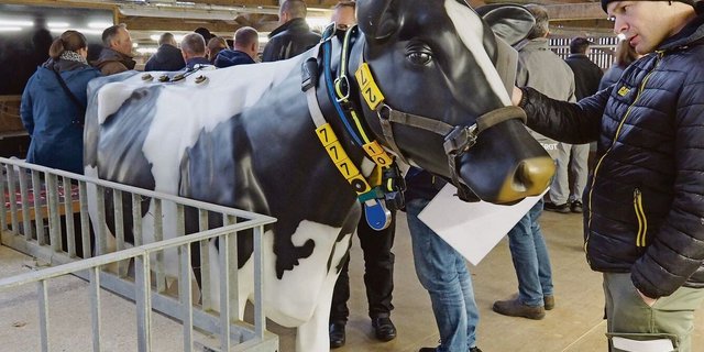 An der künstlichen Kuh hängen smarte Monitoringsysteme, die Gesundheitsstatus oder Wiederkäueraktivität messen.