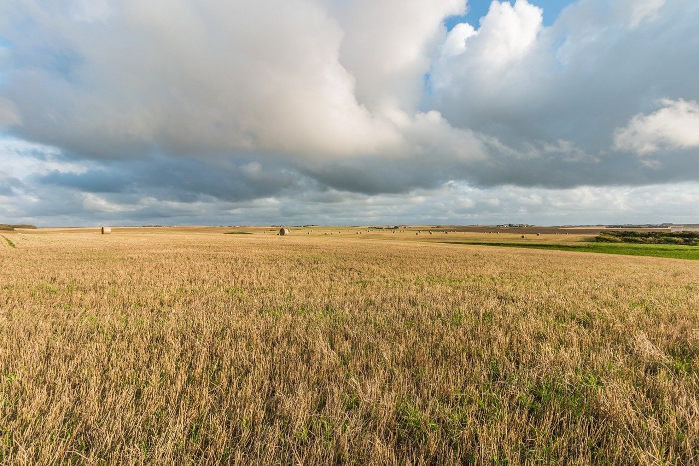 Felder in Dänemark. (Symbolbild Pixabay)