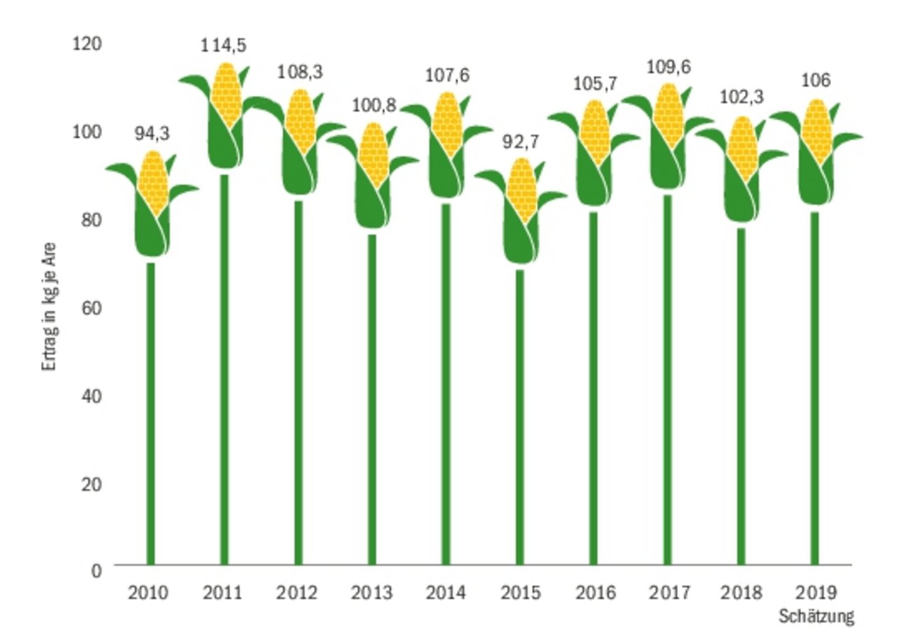 Die Erträge beim Körnermais lagen im Trockenjahr bei rund 102 Kilo je Are. Das war mehr als in den Trockenjahren 2013 und 2015. Heuer fällt der Körnermais-Ertrag mit 106 Kilo gut aus.(Grafik BauZ)
