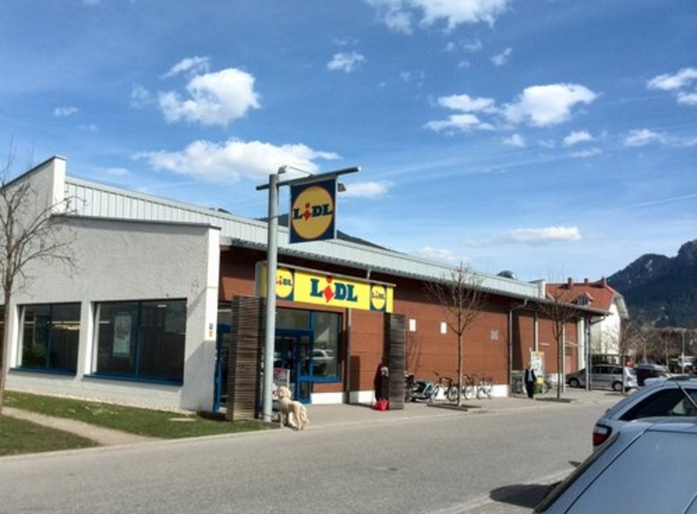 Lidl kündigt Hilfe für Milchproduzenten an. (Bild ji)