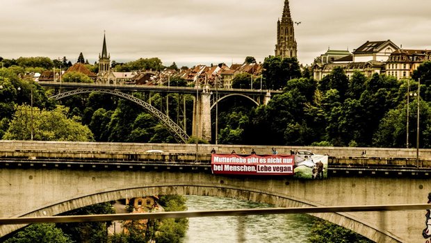 Tierrechtsorganisation Tier im Fokus (TIF) bringt riesiges Transparent auf der Berner Lorrainebrücke an. (Bild pd)