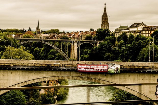 Tierrechtsorganisation Tier im Fokus (TIF) bringt riesiges Transparent auf der Berner Lorrainebrücke an. (Bild pd)