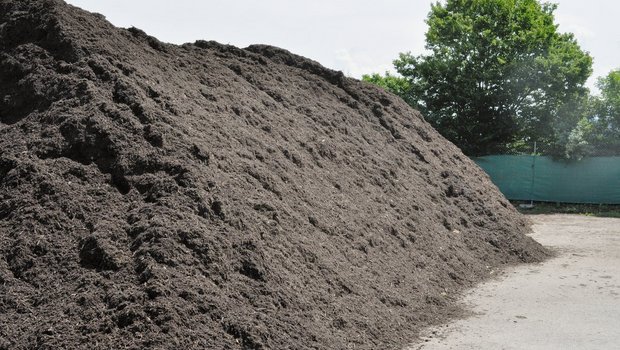 Junger, unreifer Kompost am Haufen.(Bild Joël Grossrieder)