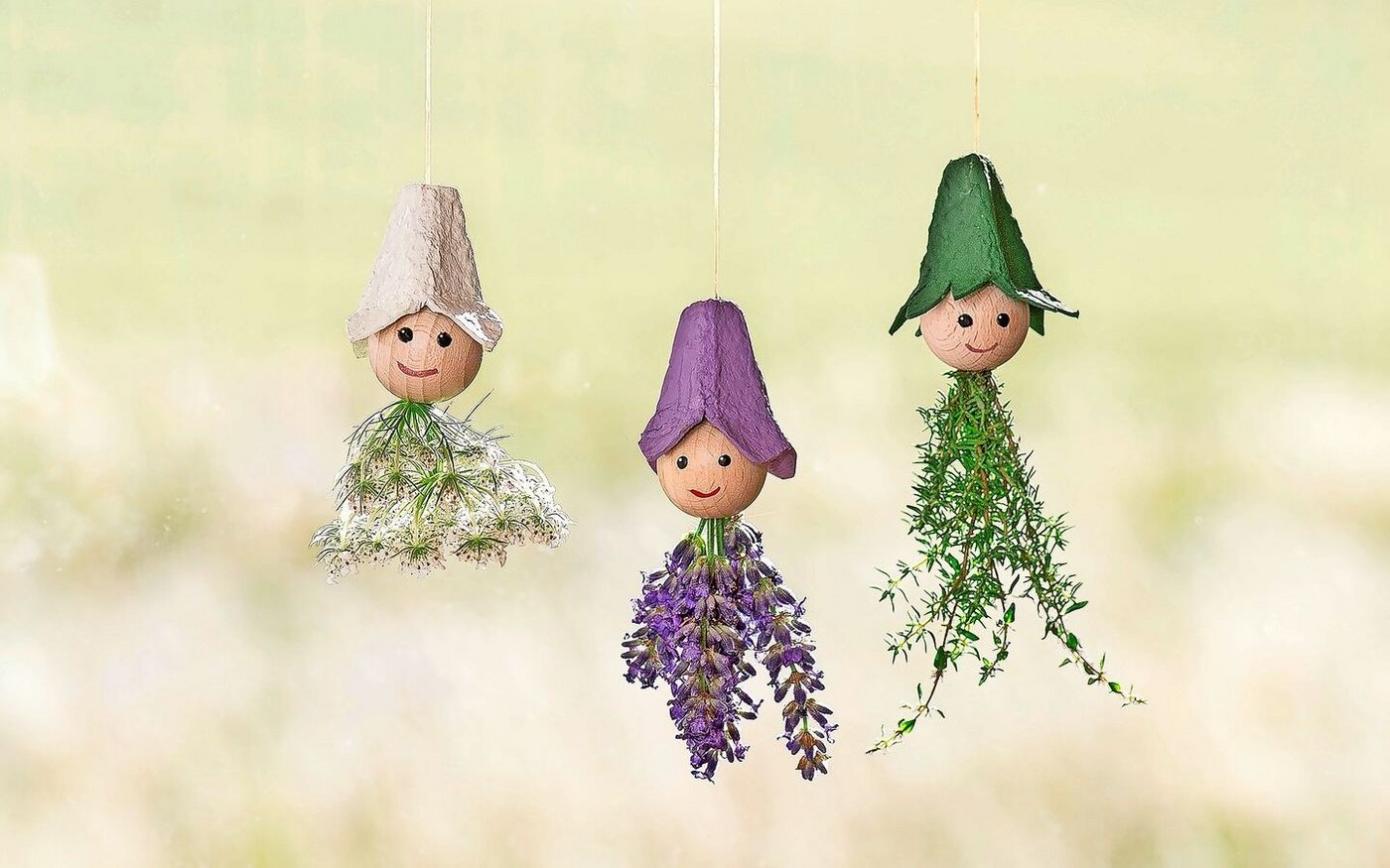 Die drei Kräuterfeen mit Wilder Möhre, Lavendel und Thymian sind ein Hingucker vor dem Küchenfenster. 