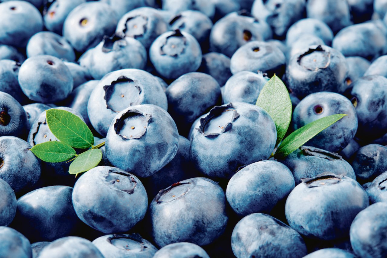 Heidelbeeren gelten als gesund, die Nachfrage ist entsprechend gross.(Bild Tim UR)