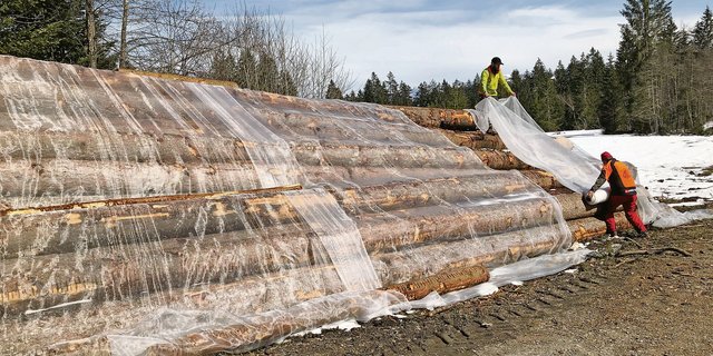 Markus Nussbaum (oben) und Kari Henggeler decken den Polter mit den Netzen. (Bild Rahel Iten)