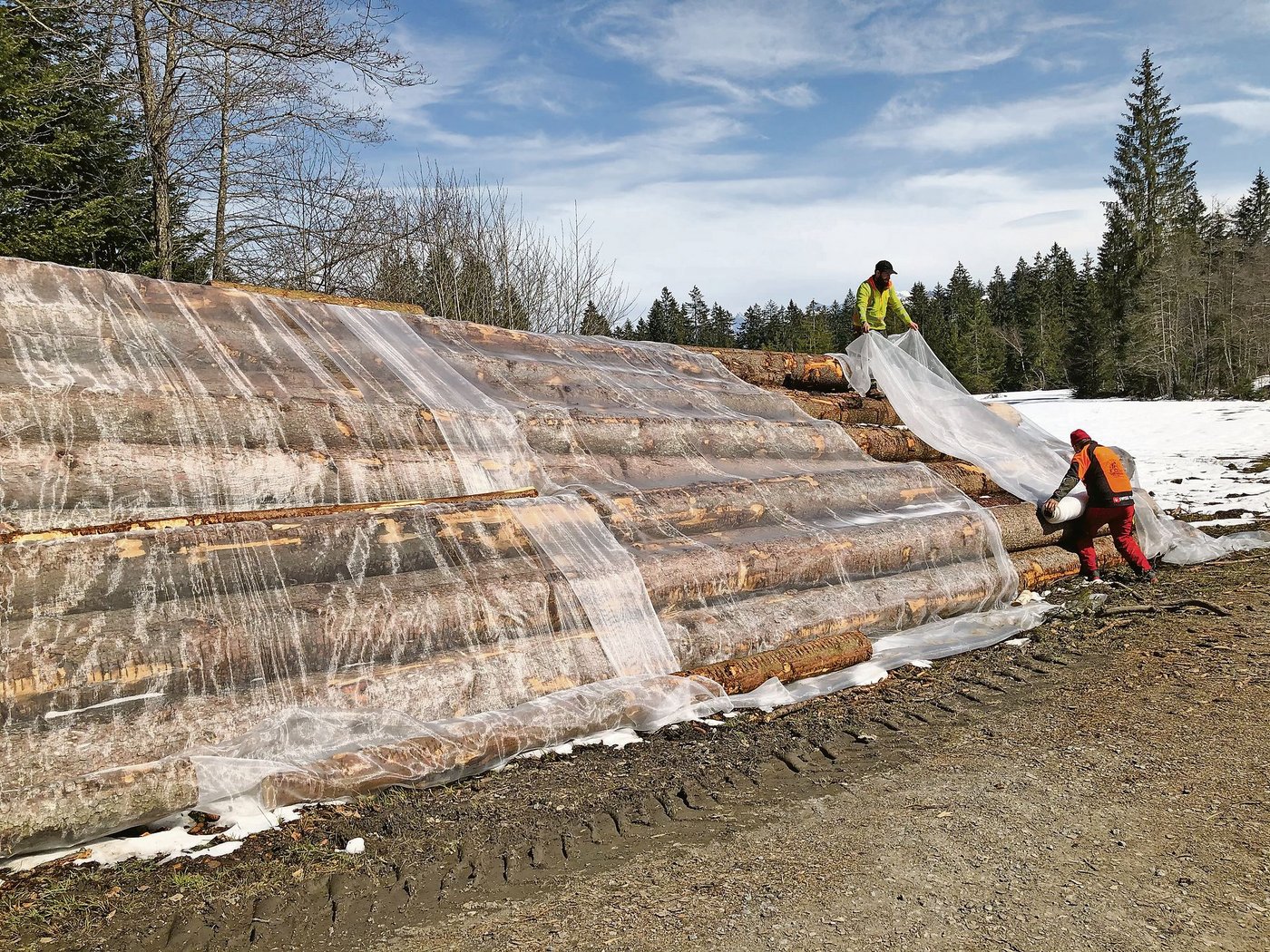 Markus Nussbaum (oben) und Kari Henggeler decken den Polter mit den Netzen. (Bild Rahel Iten)