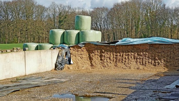 Wie gut ist die Qualität der Silage? Ist ein Ergänzungsfuttermittel notwendig? Um es genau zu wissen, ist jetzt Zeit, eine Futtermittelanalyse in Auftrag zu geben.