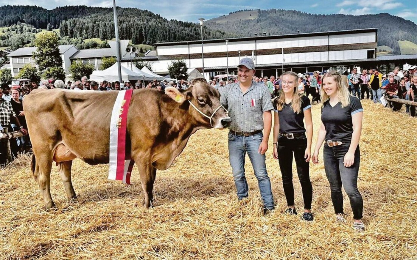 Miss der Herbstviehschau Ybrig wurde Dettling’s Calino Conny von Priska und Marcel Dettling aus Oberiberg.