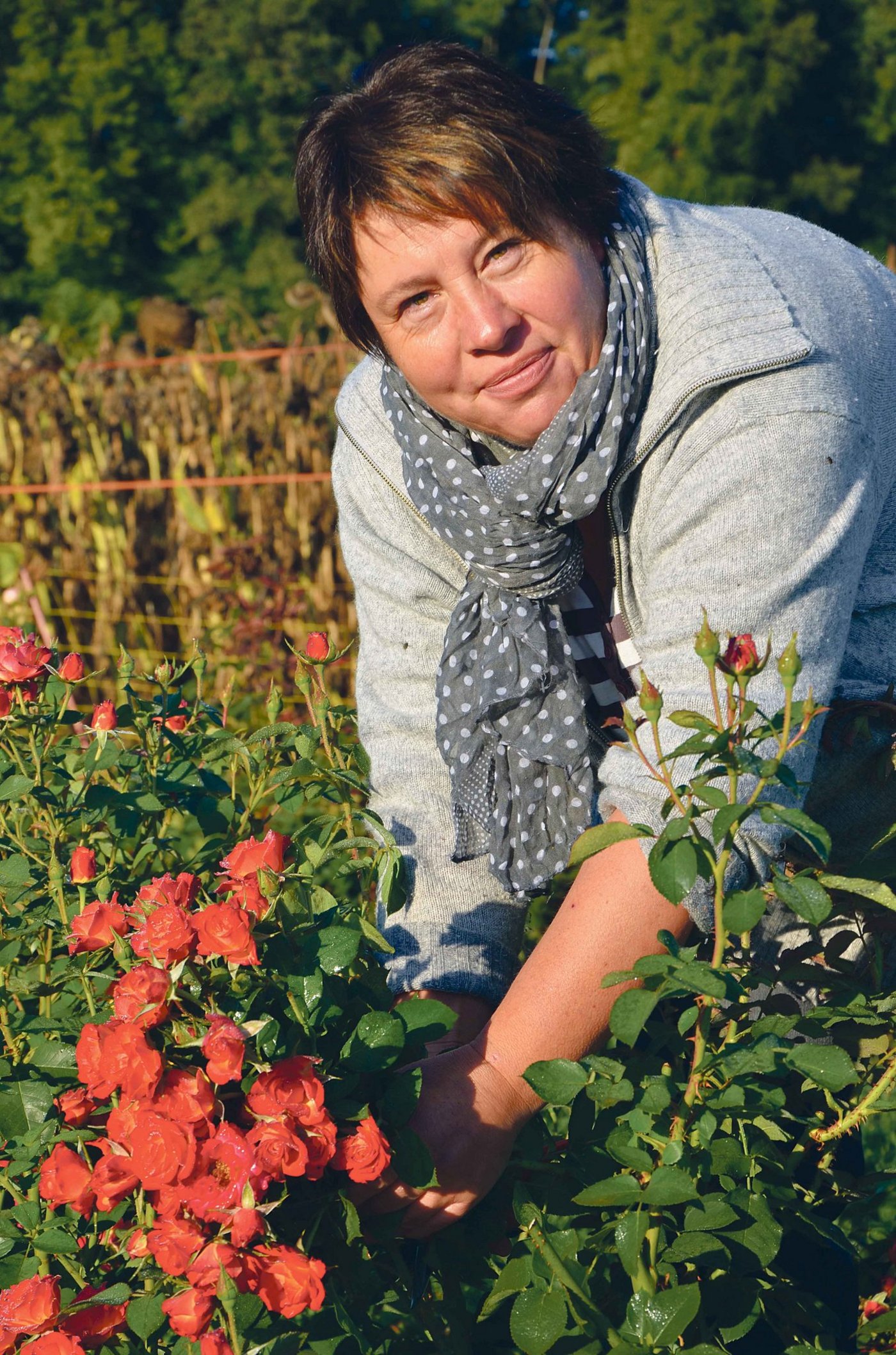 Während der Saison beginnt Susanne Richli den Tag am liebsten im Rosenfeld. (Bild Marianne Stamm)