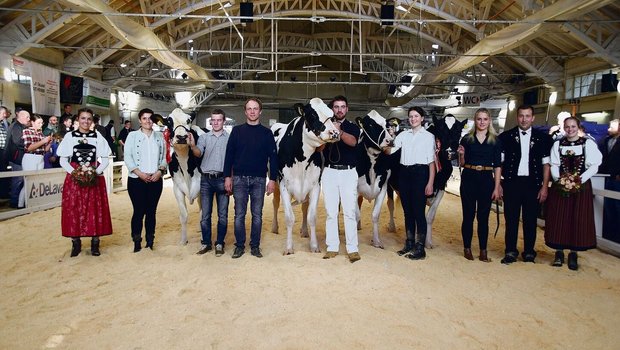 Senior-Championne-Wahl (v. l. n. r.): Reserve: Frauchwil 1Stclass Sheen; Championne: Illens Victor Noemi; Schöneuter: Fahrni Doppler Palma; Reserve: Allenbach Bad Manuela. 