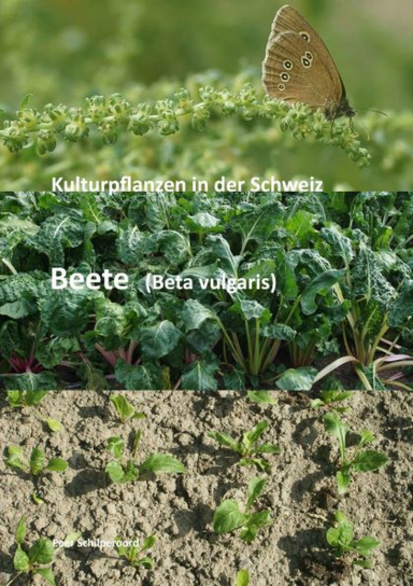 Letztes Jahr ist unter anderem das Heft "Beete" erschienen. (Bild zvg)