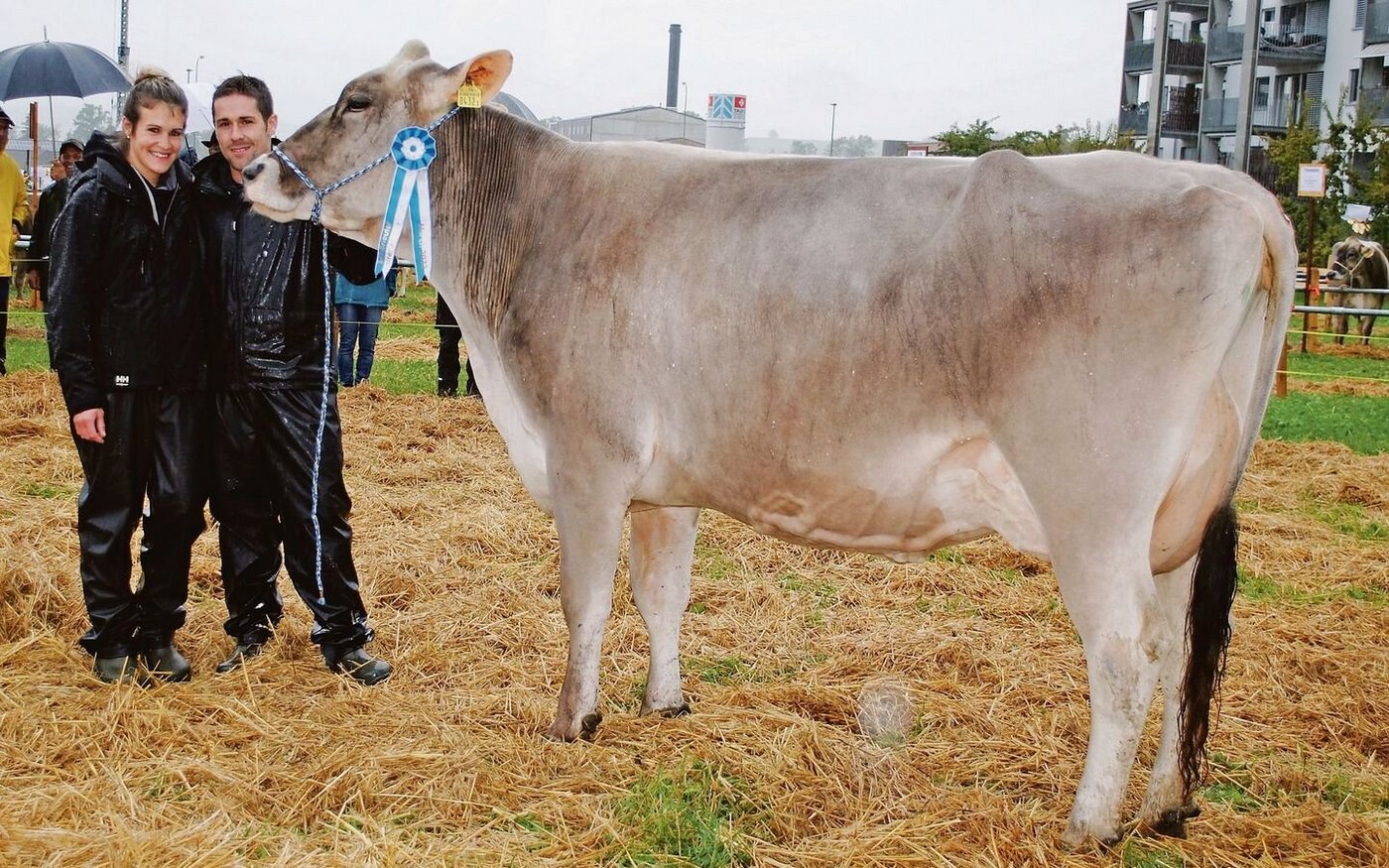Miss March BS: Drittmelkkuh Jery Zara von Kewin Züger, Vorderthal.