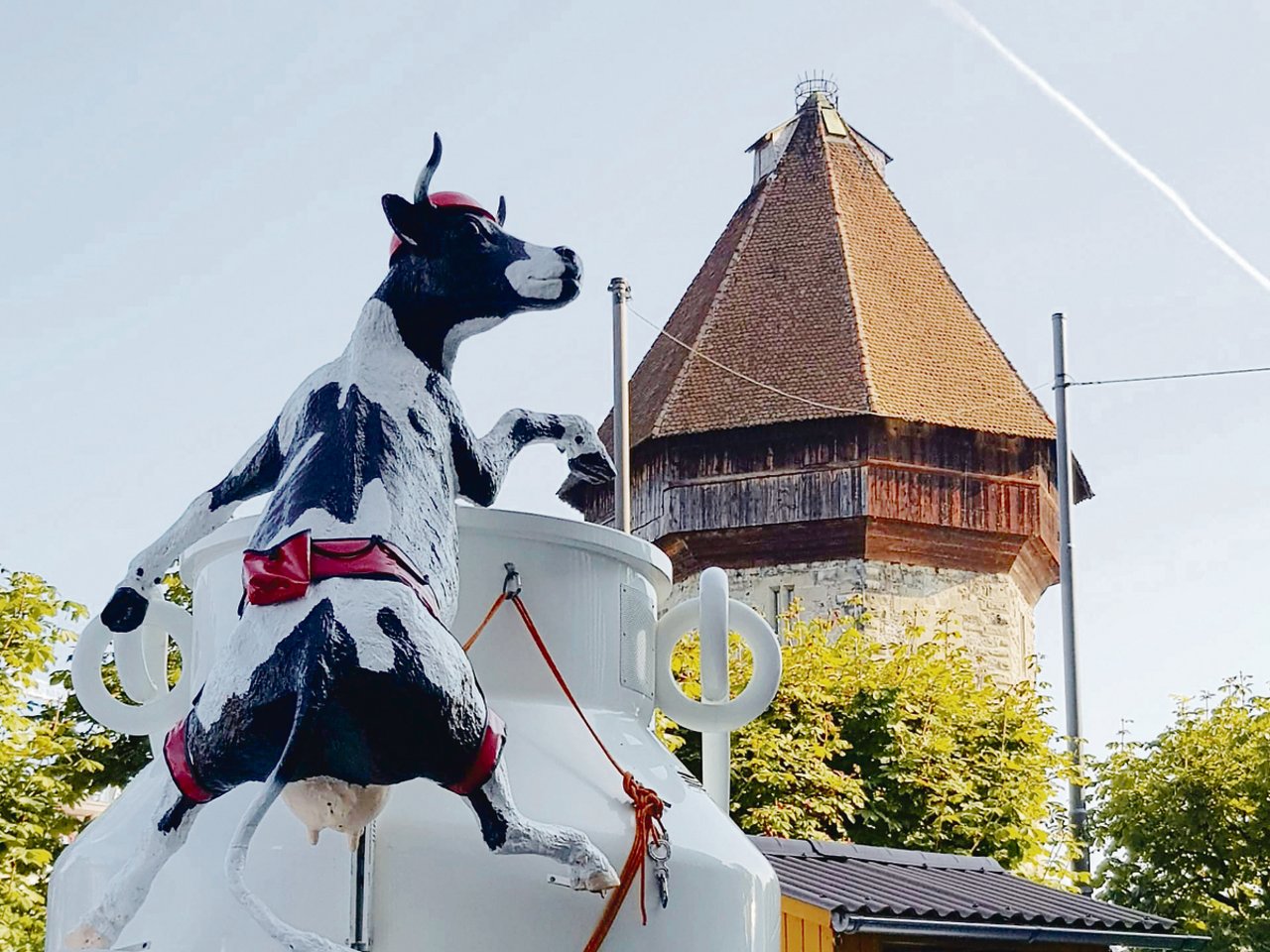 Kühe in Luzern: Bauern brachten Tiere – auch lebendige – in die Stadt, um mit Konsumenten ins Gespräch zu kommen. (Bilder Franziska Jurt)