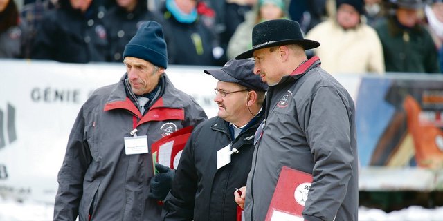 Der Fokus einer Studie lag auf ihnen: Die Rassenrichter der Freiberger stehen wieder im Einsatz. Es geht um die Auswahl der Zuchthengste. Und genau dort steht der Verband vor Herausforderungen. Es dürften Neuerungen folgen.(Bild kr)