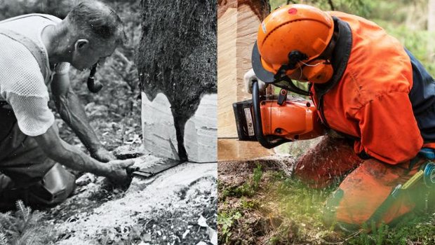 Mit der Pfeiffe im Mund würde heute niemand mehr Bäume fällen. In den Forst sind moderne Maschinen eingezogen, dank denen die Holzernte schneller und einfacher geworden ist. (Bilder Wald Schweiz)