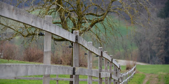 Seit Spätsommer bewilligt der Kanton Luzern keine Gesuche mehr für neue Lattenzäune (wie im Bild). Der Erhalt von Bestehenden wird aber weiterhin unterstützt. (Bild Armin Emmenegger)