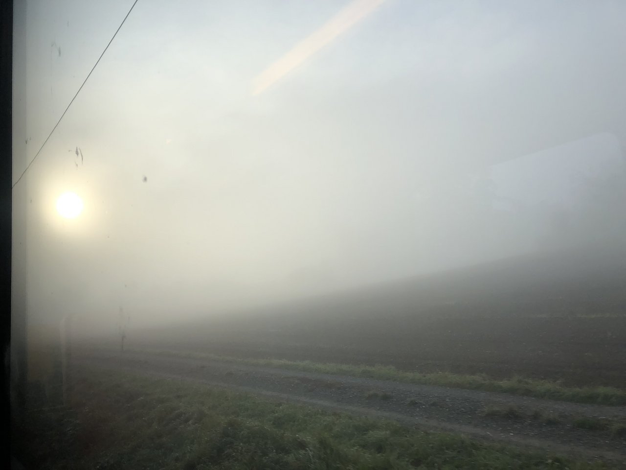 Auf der Fahrt ins Zürcher Weinland herrscht stockdicker Nebel. (Bild et)