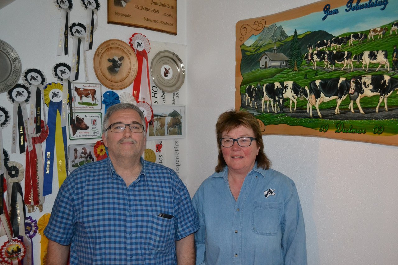 Dietmar und Dorli Schnell zeigen hier die vielen Auszeichnungen von ihren Kühen. (Bilder Peter Fankhauser)