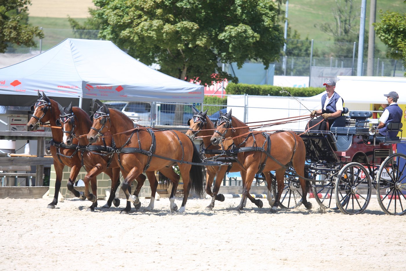 Christoph Häfeli und sein Fünfspänner.