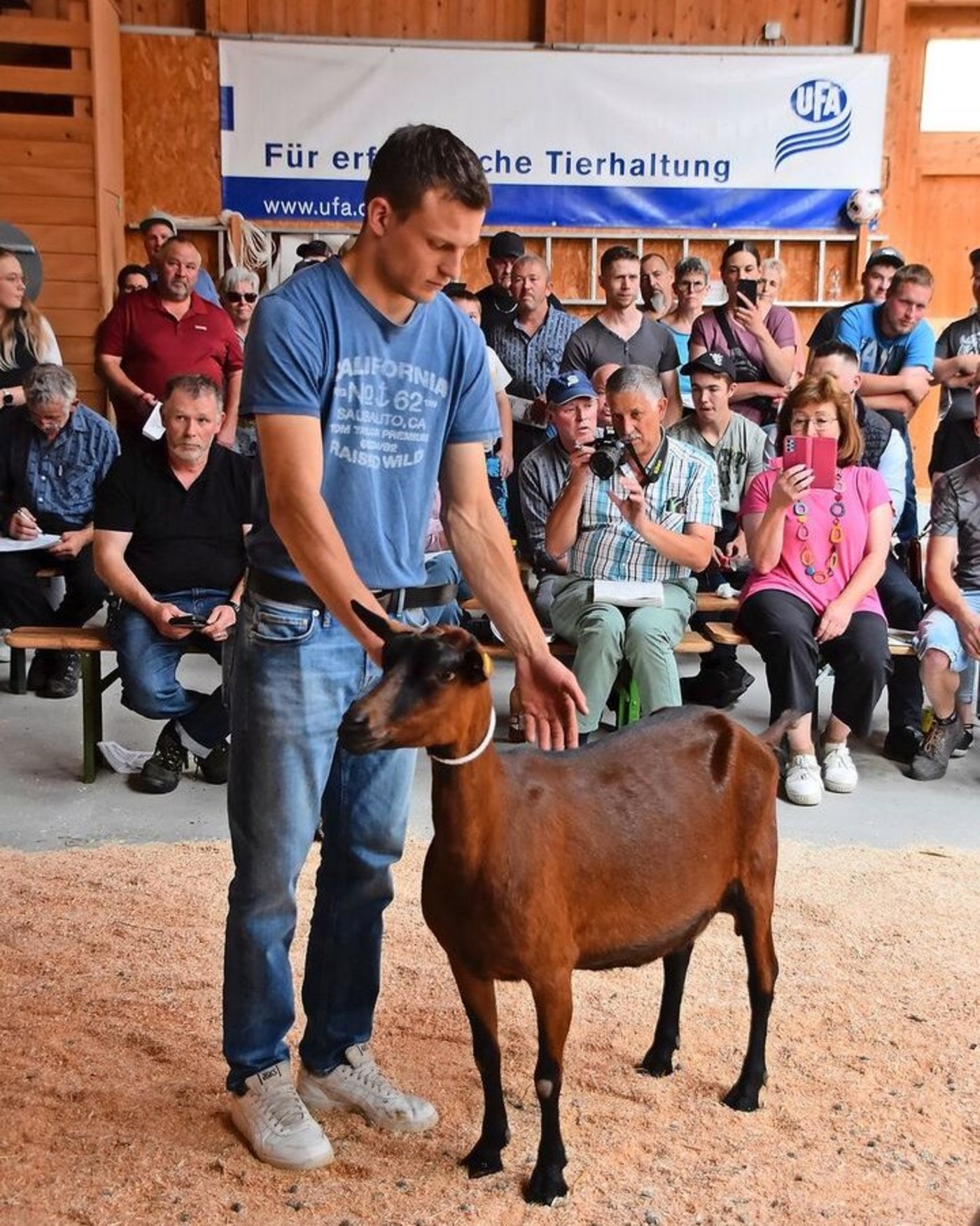 Die wunderschöne Schauziege Sunrise (Vater Kanis) löste den Tageshöchstpreis von 3300 Franken.