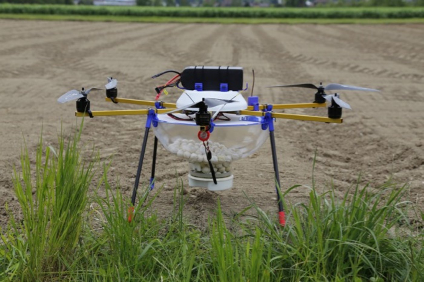 Mit dieser Drohne werden Maiszünsler abgeworfen. (Bild Michael Wahl)