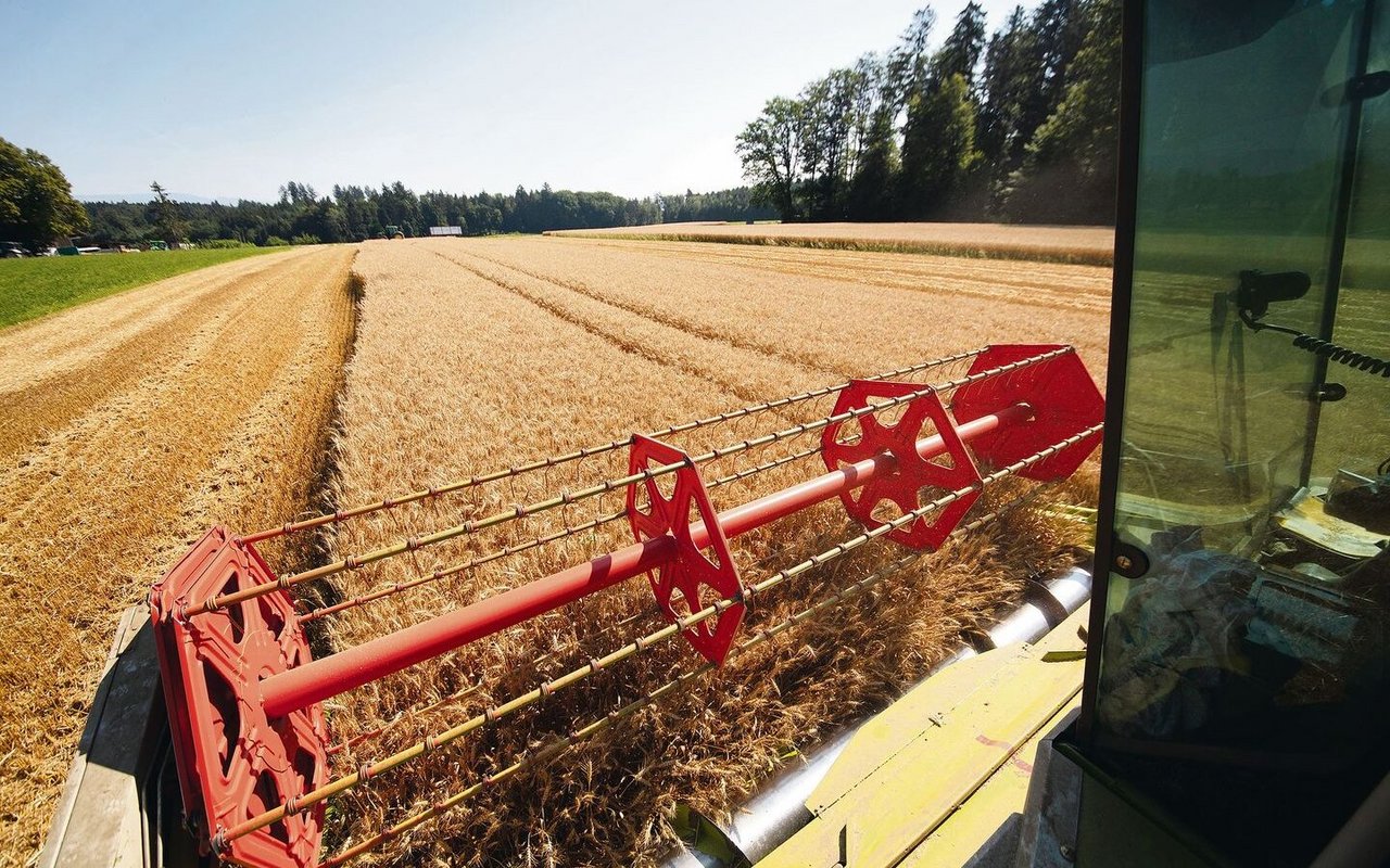 «Wir wollen die Lager sofort wieder mit hochwertiger Ware auffüllen», sagt Fritz Rothen. Deshalb sucht man neue Produzenten und fordert die bestehenden auf, mehr zu produzieren 