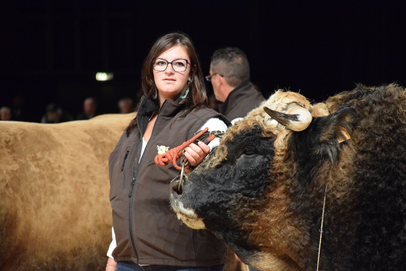 Die Fleischrinderrassen bilden den Schwerpunkt. Hier die Ausstellung der Aubrac.