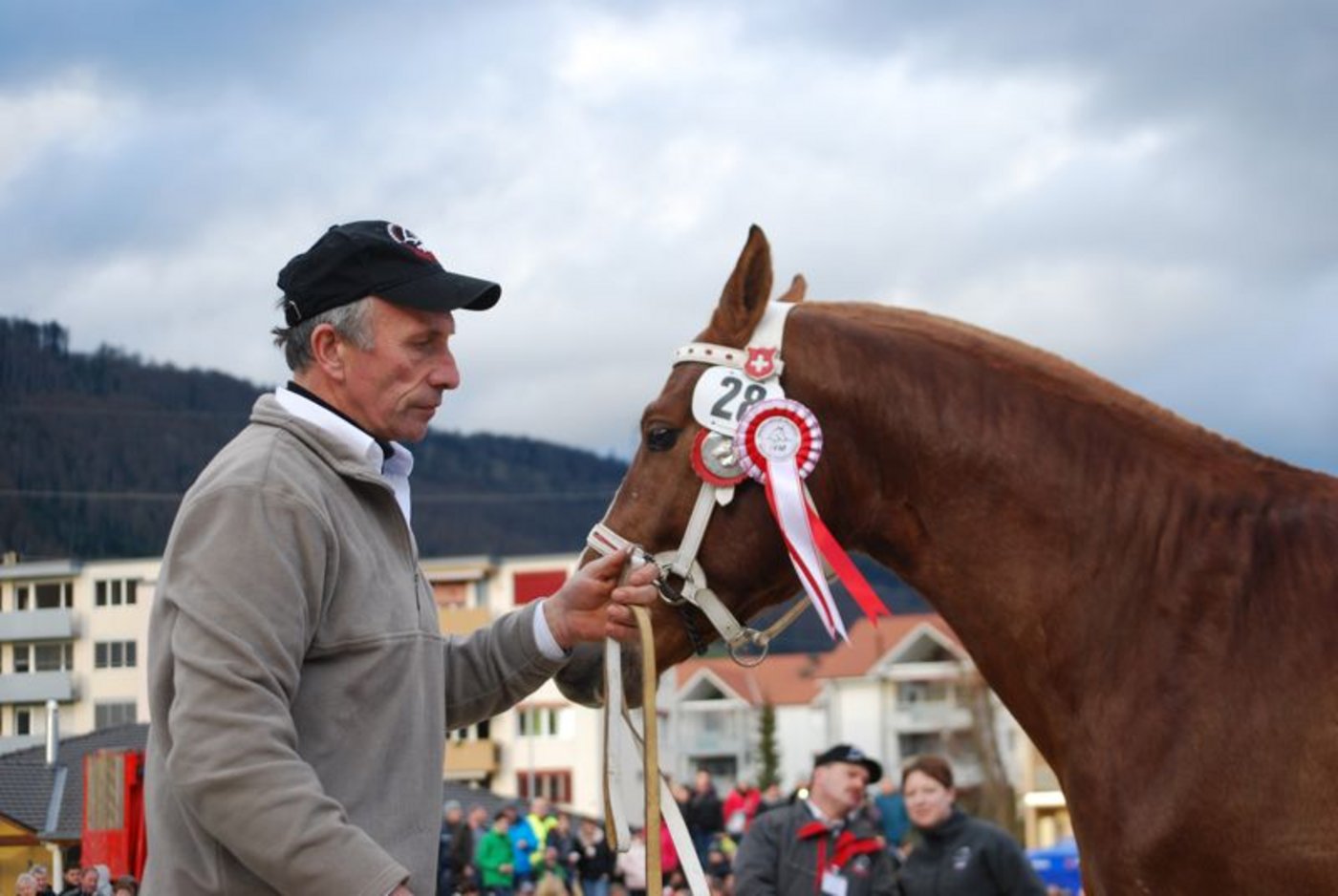 Der Zweitplatzierte Hold'Up des Zoués von Jean Chêne aus Damvant JU überzeugte mit seinen Traumgängen. 