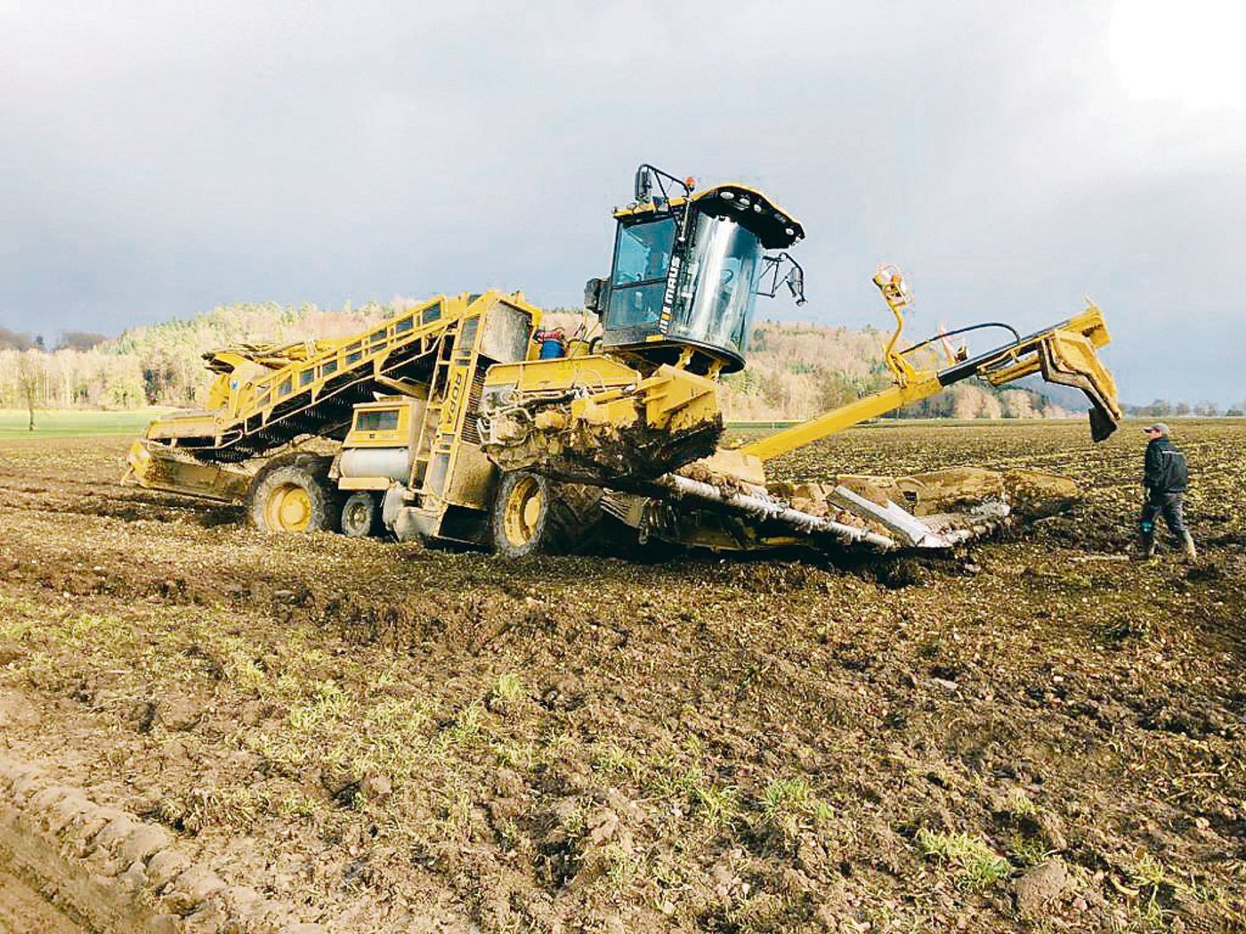 Der Rübenring scheint in Schieflage geraten zu sein. Besonders die Rübenverlademaschinen hätten unter der neuen Organisation gelitten.(Bild zVg)