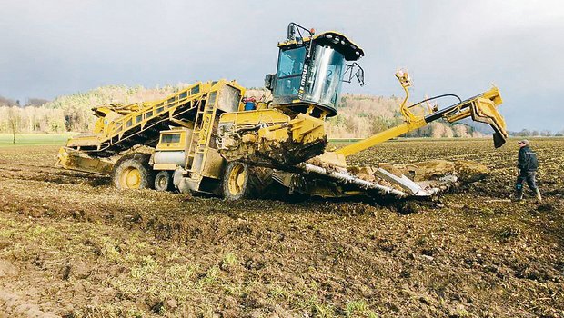 Der Rübenring scheint in Schieflage geraten zu sein. Besonders die Rübenverlademaschinen hätten unter der neuen Organisation gelitten.(Bild zVg)