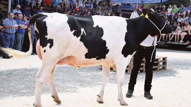 Letztes Jahr löste s Letztes Jahr löste sie den Spitzenpreis von 9400 Franken: das frisch abgekalbte Rind Terreaux Rambo Liberia.