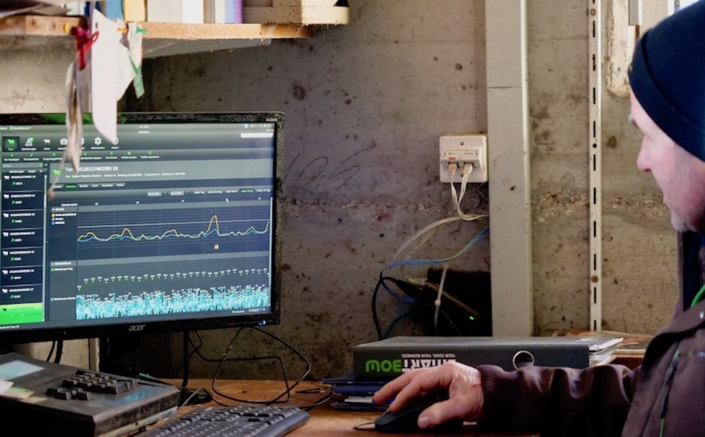 Zirka zehn Minuten Zeit benötigt Koni Gisin täglich für den Daten-Check. Vor allem stillbrünstige Kühe verpasst er deswegen weniger. 