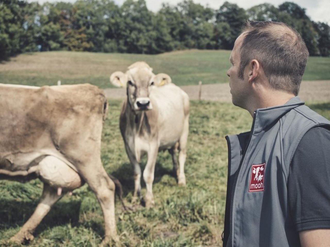 Die Mooh Genossenschaft ist mit knapp 3900 Milchproduzentinnen und –produzenten eine führende Milchproduzentenorganisation in der Schweiz. (Bild Phil Bucher / Mooh)